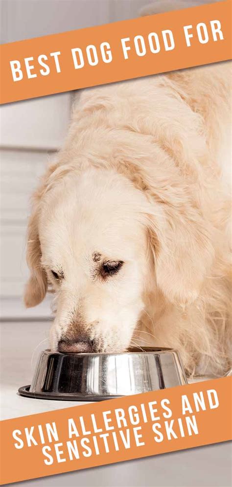 Complete list of 8 best dog food allergies best today - Black Cat White ...