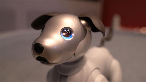 Sony’s beloved robotic dog is back with a new bag of tricks - NBC News