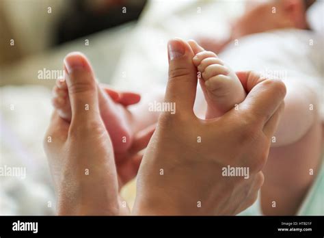 newborn baby feet in female hands Stock Photo - Alamy