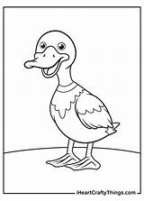 Duck Coloring Pages Updated 2021 sketch template