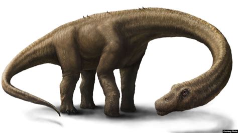 Dreadnoughtus, a Giant Among Dinosaurs