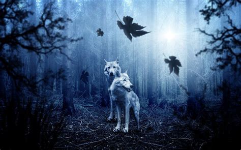 Wolf Spirit Animal ⋆ LonerWolf