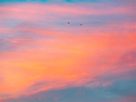 Premium Photo | Low angle view of orange sky