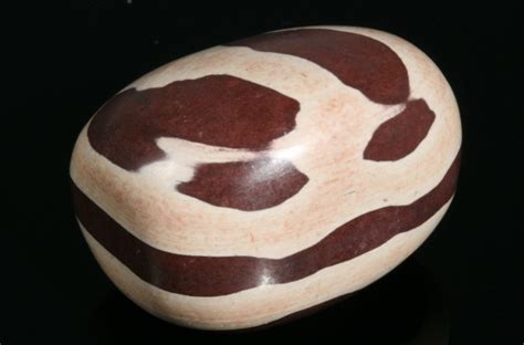 Zebra Stone Tumbled 1.06" x 0.87" x 0.75" | Zebra, Stone, Rhythmic pattern