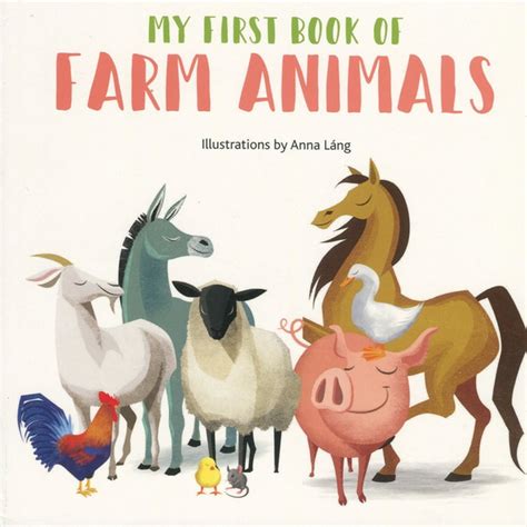 My First Book of Animals: Farm Animals (Board book) - Walmart.com ...