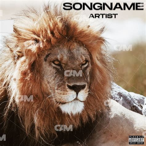 Lion - Cover Art Market