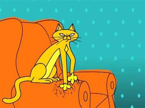 Cat Scratch Cartoon - YouTube