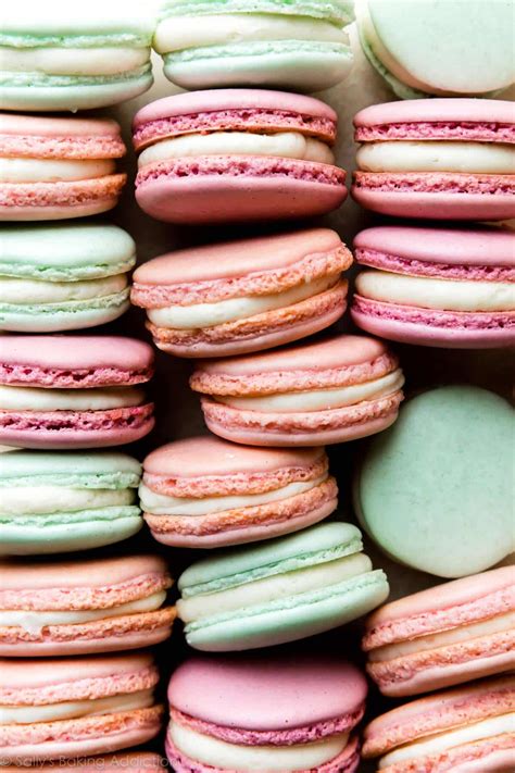 Beginner's Guide to French Macarons - Sally's Baking Addiction - EU-Vietnam Business Network (EVBN)