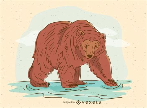 Ilustraci N Oso Pardo Ilustraciones Dibujos De Osos Dibujos De Colorear ...