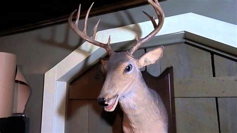Gemmy Talking & Singing "Buck" Mounted Deer Head - YouTube