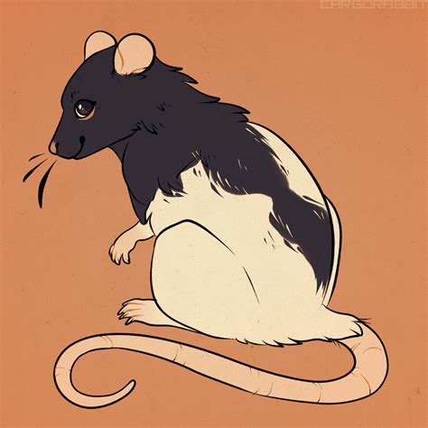 RAT by Cargorabbit on DeviantArt