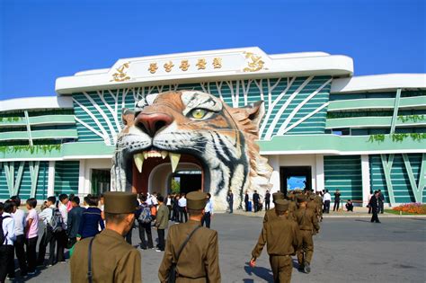 A Casual Day Out At The Pyongyang Zoo - Travel Tramp