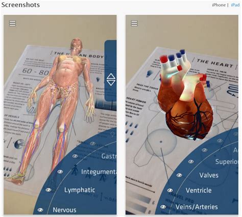 Understanding Anatomy 4D - Augmented Reality - YSAR