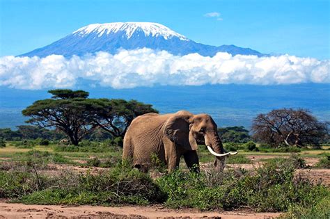 Mount Kilimanjaro Location—Where in Africa on the Map? - Kilimanjaro Uncovered