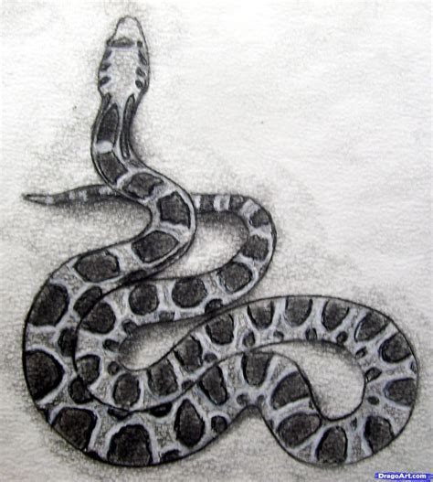 Snake Pencil Sketch at PaintingValley.com | Explore collection of Snake Pencil Sketch