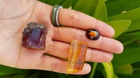 Amber - fossilized tree resin - much valued as a gemstone - video