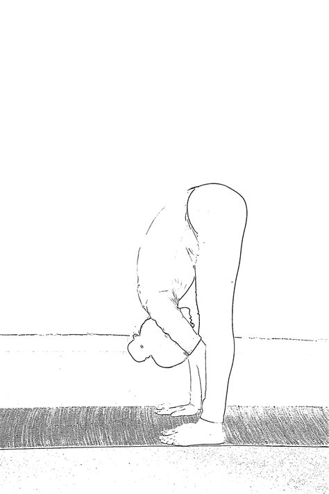 पादहस्तासन योग विधि, लाभ और सावधानी-Padahastasana Steps, Benefits And ...