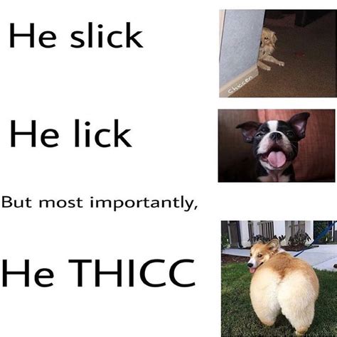 t h i c c : r/memes