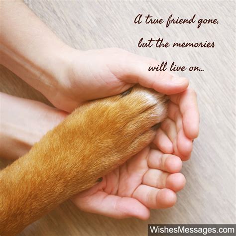 Sympathy Messages for Pets: Condolence Quotes for Dogs, Cats and more – WishesMessages.com