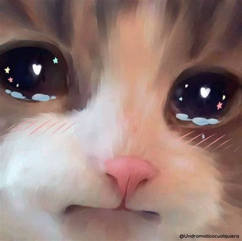 Cat Sad Cat GIF - Cat Sad Cat Cute - Discover & Share GIFs