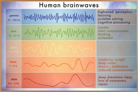 Theta Healing: Vianna Stibal and the Power of Theta Waves - Egely Wheel