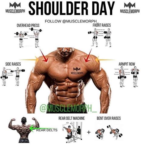 Pin by Gary on HEALTH | Shoulder workout, Shoulder training, Gym ...