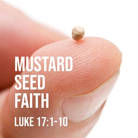 Luke 17:1-10: Mustard Seed Faith – God Centered Life