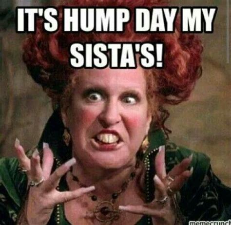 Hump Daaaay! | Wednesday humor, Morning quotes funny, Happy wednesday ...