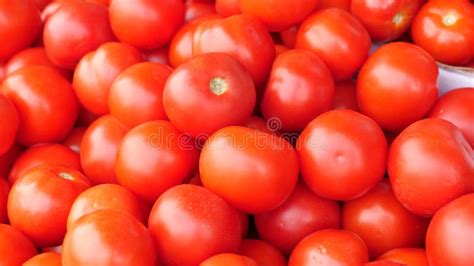 Fresh Ripe Red Tomatoes in Containers on Shelf of Supermarket Stock Footage - Video of bright ...