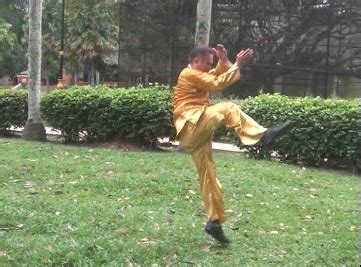 Video Clip Series: Twelve Animal-Forms of Xingyiquan