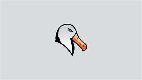 An albatross sports logo. in 2020 | Sports logo, Logo design, Behance