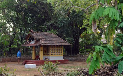 Sacred groves of north Kerala: The last refuge for biodiversity amongst ...