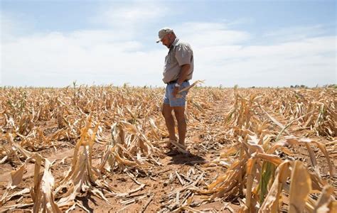 Farmers seek aid as SA weathers worst drought in 24 years