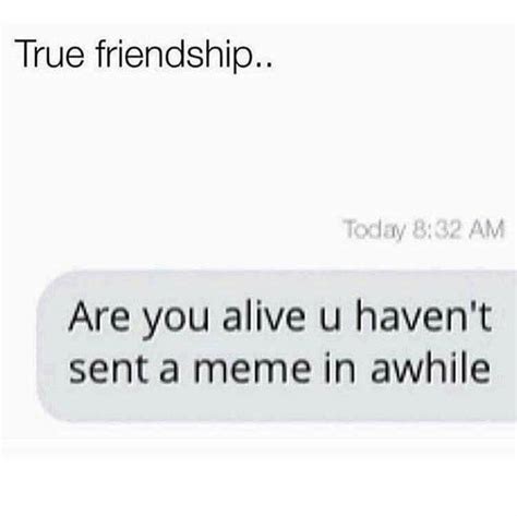 Friendship Goals - Memebase - Funny Memes