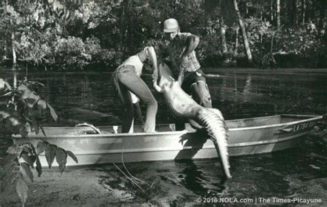 See vintage alligator photos from our archives | Vintage, Photo archive, Couple photos