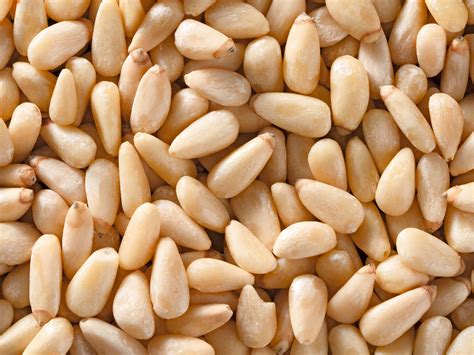 What Are Pine Nuts and Why Are They So Expensive?