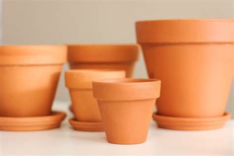 Terracotta Pots & Saucers - Urban Garden Center
