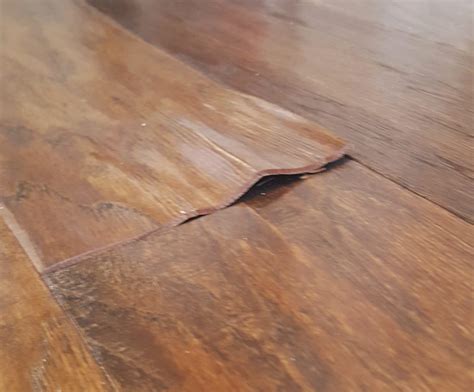 Do Cats Damage Wood Floors at bobbiermontez blog