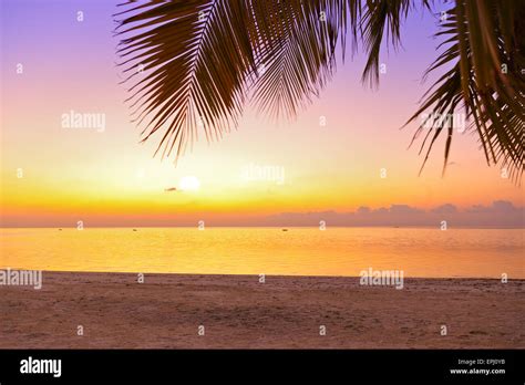 Sunset in Maldives beach Stock Photo - Alamy