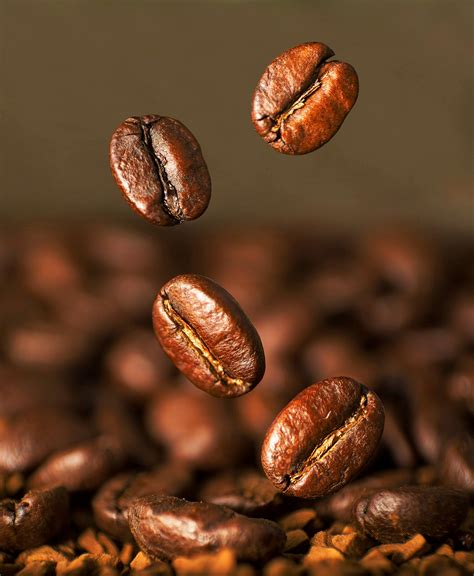 Brown Coffee Beans in Close Up Photography · Free Stock Photo