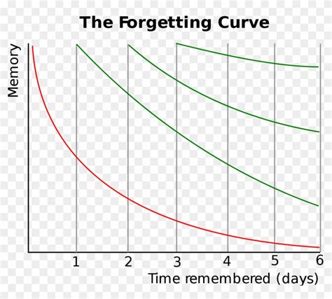 Hermann Ebbinghaus Forgetting Curve, HD Png Download - 1200x1027(#6514088) - PngFind