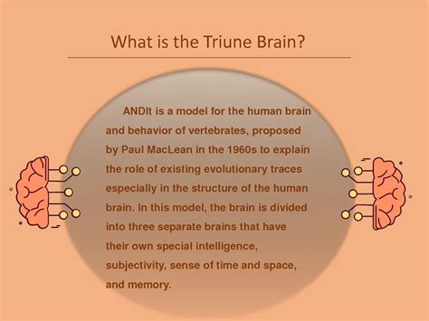 SOLUTION: Triune brain - Studypool