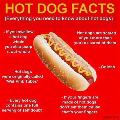 Funny Hot Dog Memes | fwtai