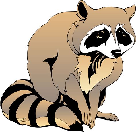 Raccoon clipart. Free download transparent .PNG | Creazilla