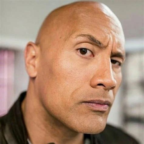 the rock in 2024 | The rock eyebrow, The rock dwayne johnson, Dwayne ...