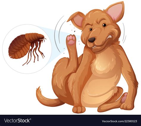 All 101+ Images Pictures Of Fleas On Dogs Updated