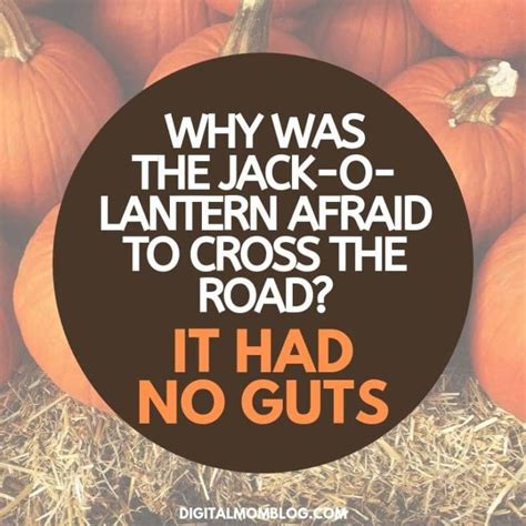 25 Funny Pumpkin Memes, Puns & Jokes For Sharing