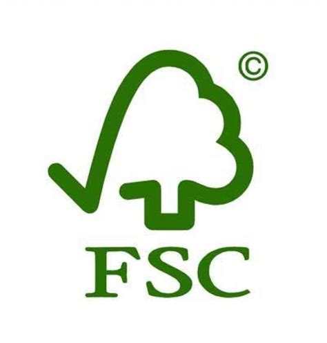 What is Forest Stewardship Council Explained