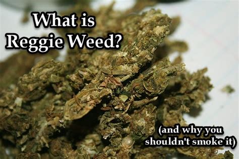 What Is Reggie Weed And Why You Shouldn’t Smoke It