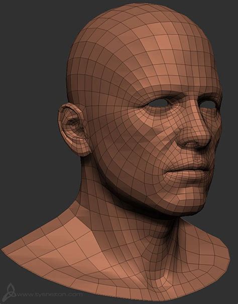 Face topology, Topology, Character modeling